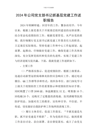 2024年公司党支部书记抓基层党建工作述职报告