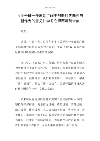 《关于进一步激励广大干部新时代新担当新作为的意见》学习心得两篇稿合集