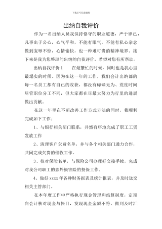 出纳自我评价
