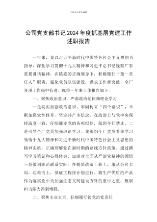 公司党支部书记2024年度抓基层党建工作述职报告