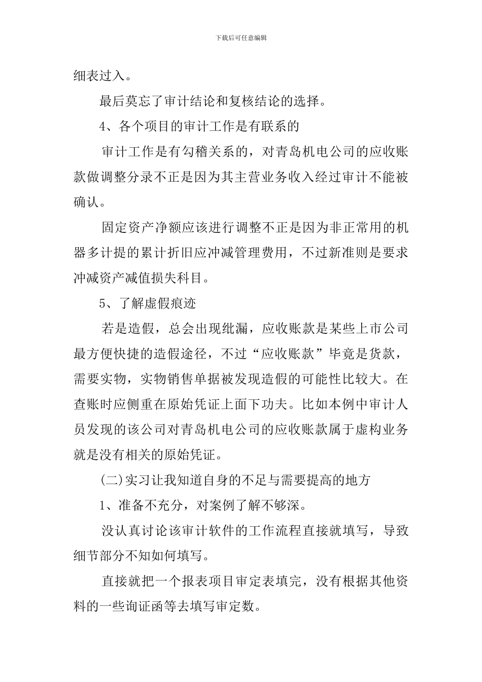 审计实习生报告范文_第3页