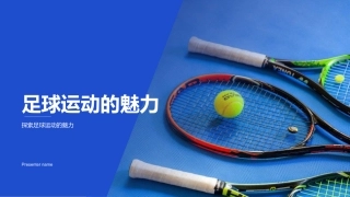 足球运动的魅力-探索足球运动的魅力