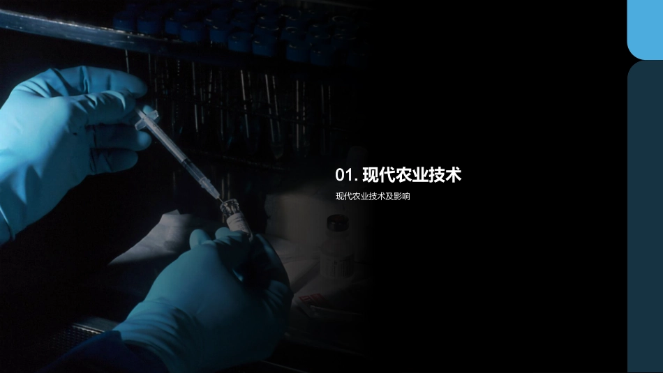 智慧农业，高产美丰收-高效种植技术_第3页