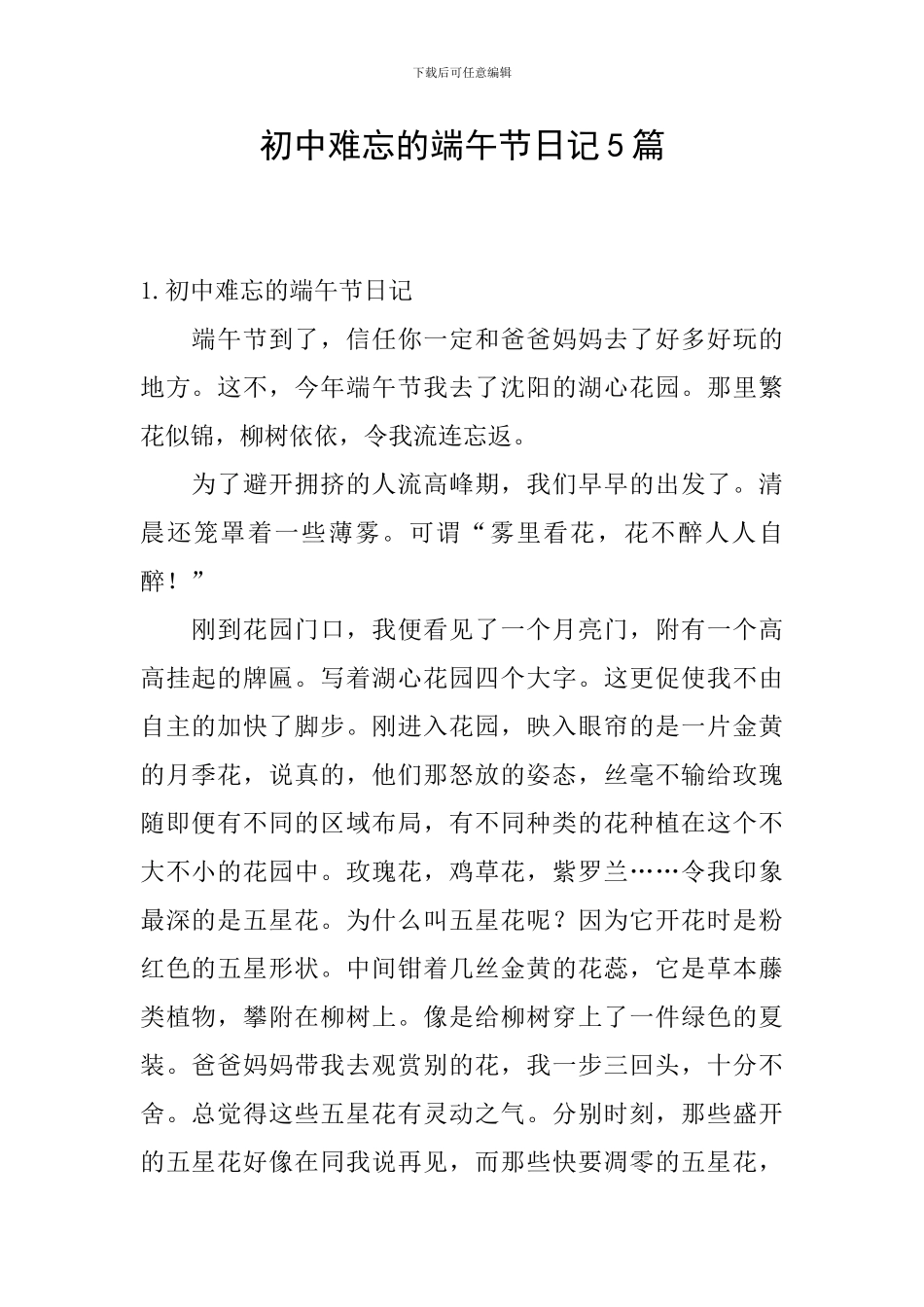 初中难忘的端午节日记5篇_第1页