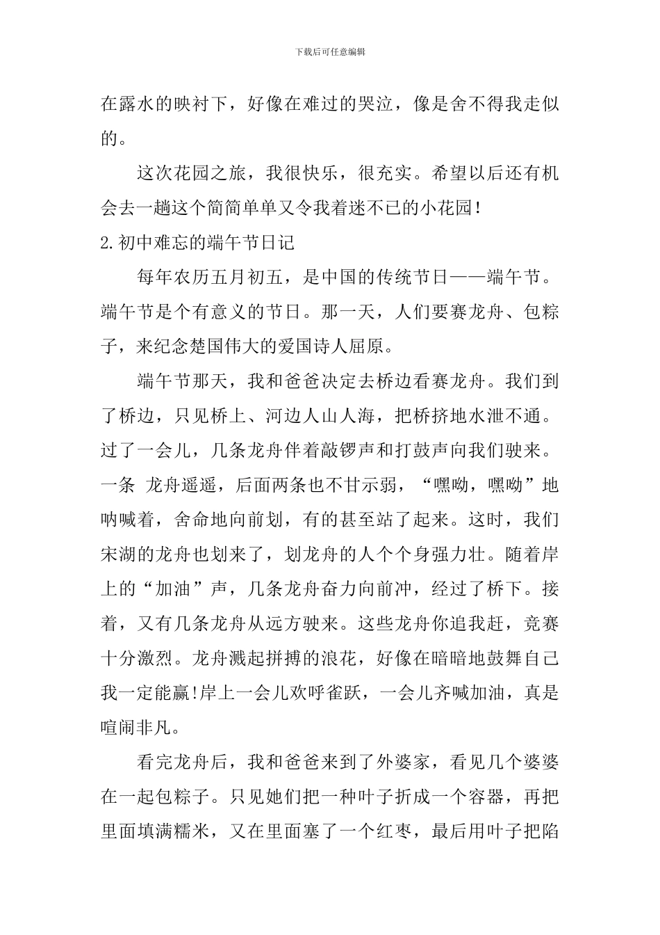 初中难忘的端午节日记5篇_第2页