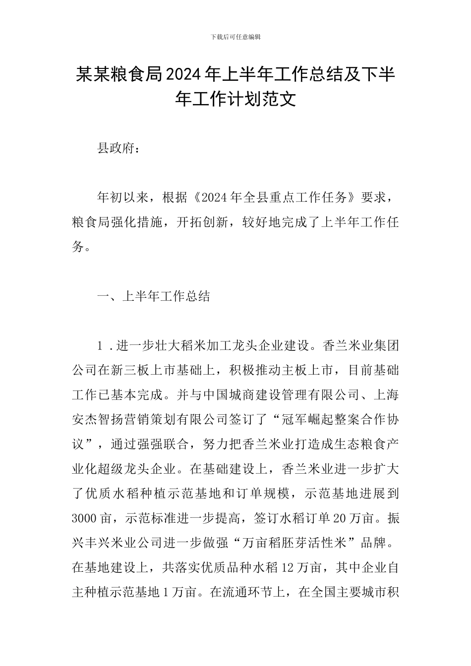 某某粮食局2024年上半年工作总结及下半年工作计划范文_第1页