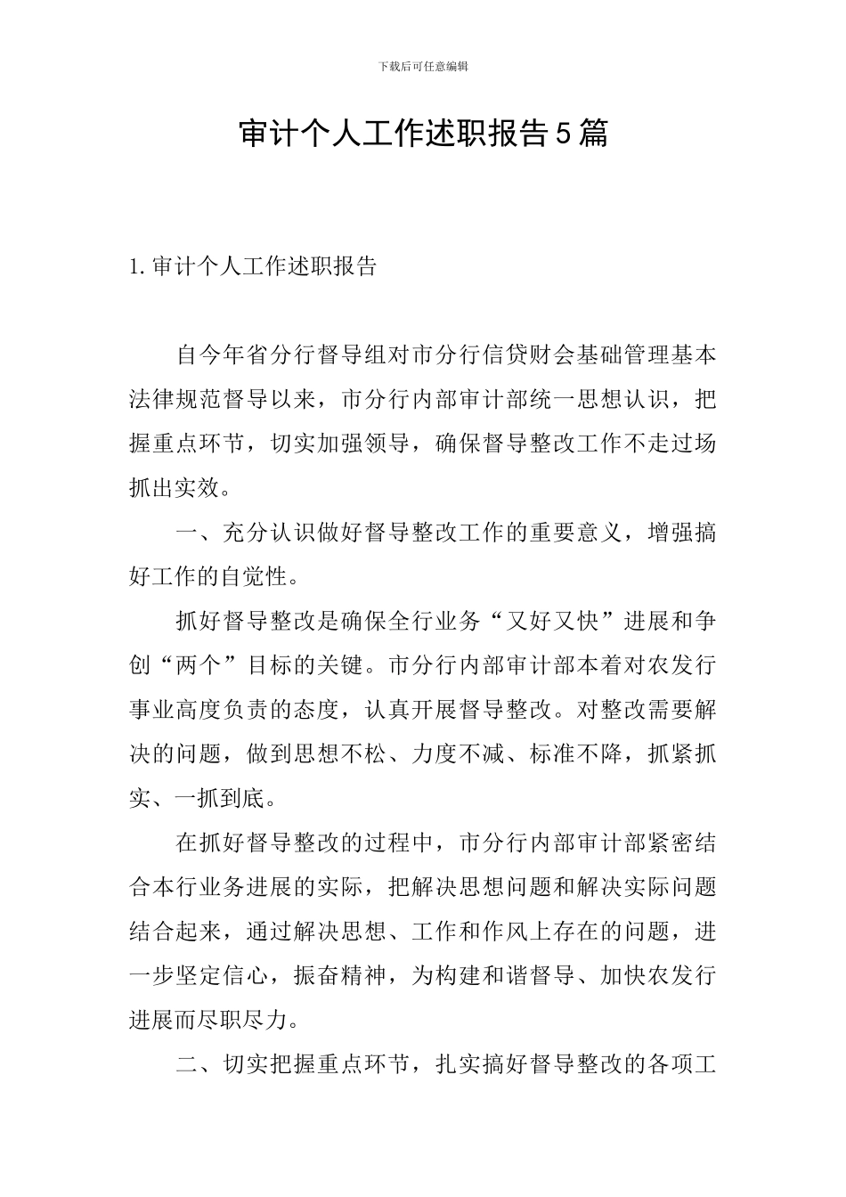 审计个人工作述职报告5篇_第1页