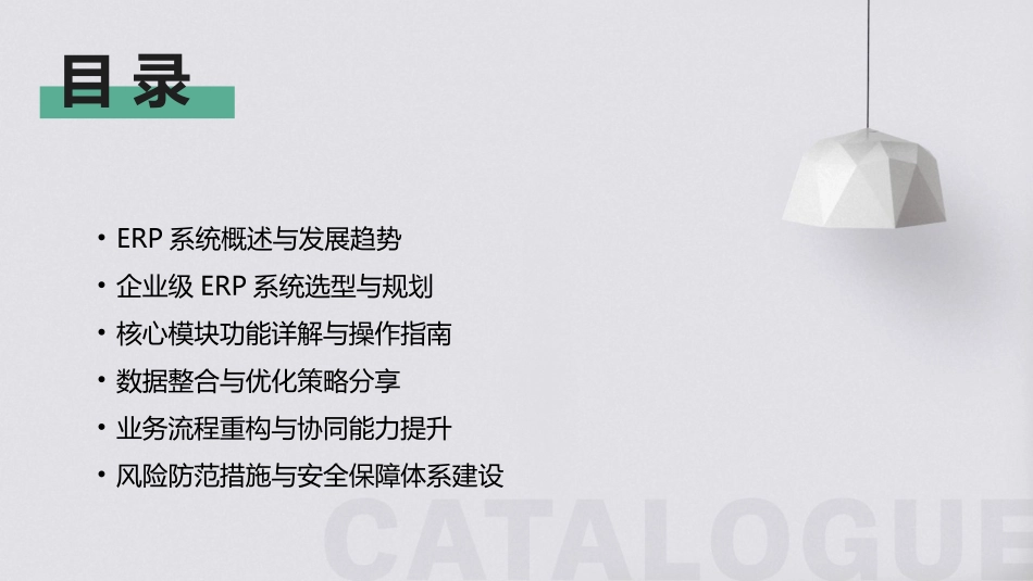 专业打造：2024年企业级erp系统培训_第2页