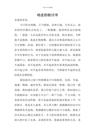 哈皮的检讨书