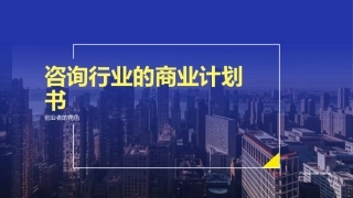咨询行业的商业计划书-创业者的角色