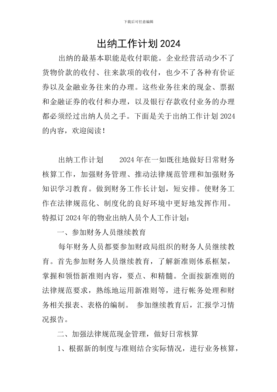 出纳工作计划2024_第1页