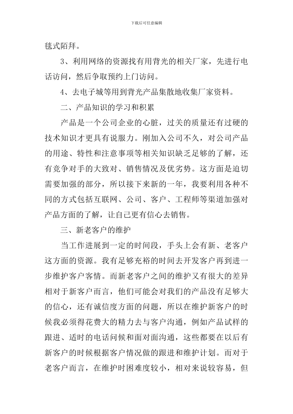 2024年销售总监工作计划_第2页