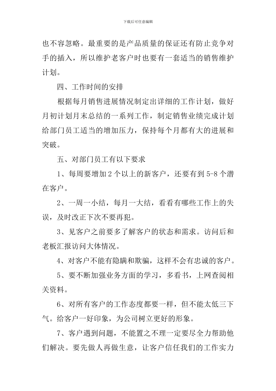 2024年销售总监工作计划_第3页