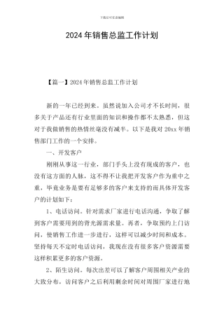 2024年销售总监工作计划