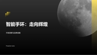 智能手环：走向辉煌-市场洞察与品牌战略