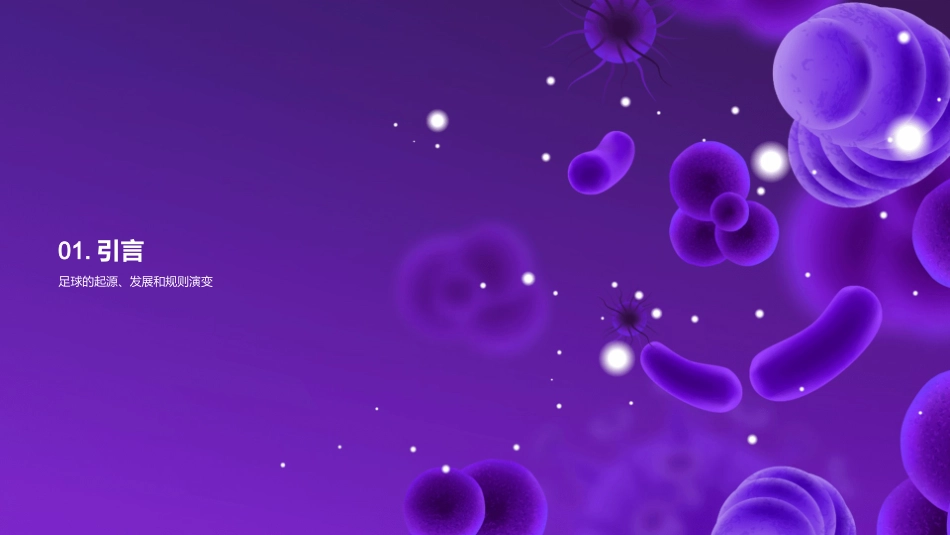 制胜之道：足球战术全解析-战术分析与实战应用指南_第3页