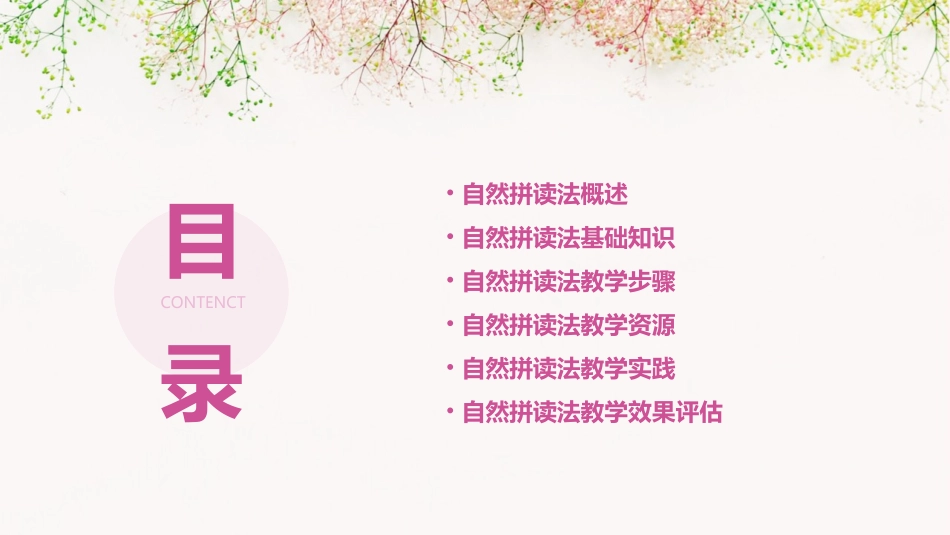 自然拼读法教学ppt课件_第2页