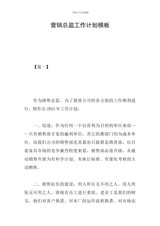 营销总监工作计划模板