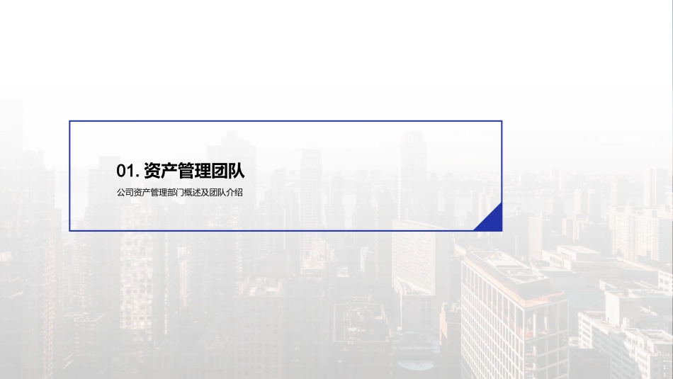 资产管理计划书-资产管理计划书_第3页