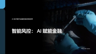 智能风控：AI赋能金融-AI技术提升金融风险控制效率