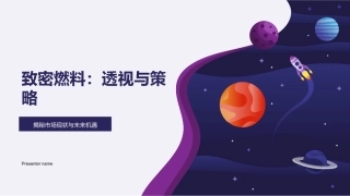致密燃料：透视与策略-揭秘市场现状与未来机遇