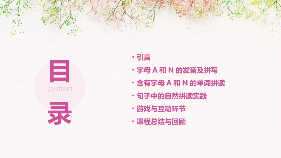 自然拼读字母AN课件_第2页