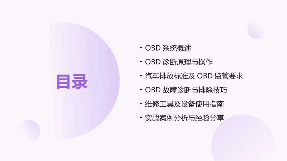 专业汽车维修工2024年OBD培训_第2页