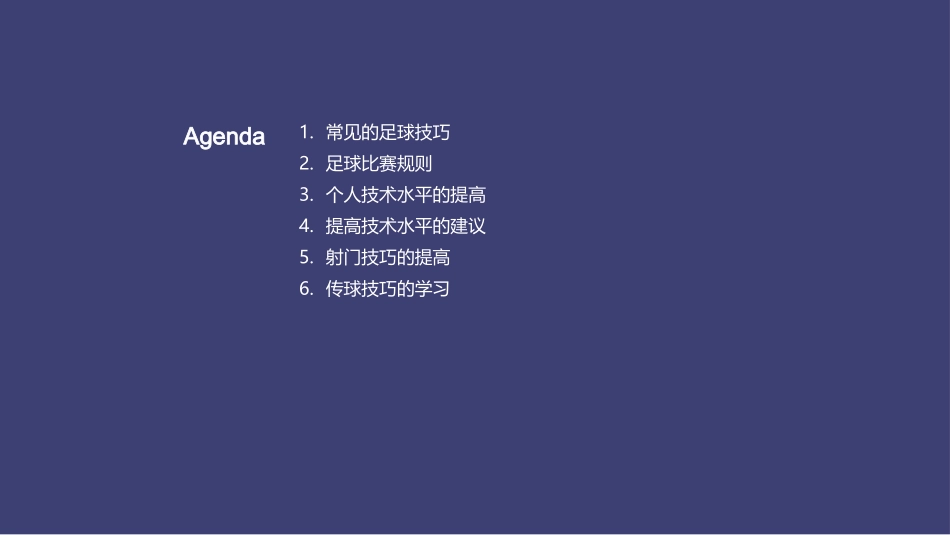 足球技巧分享-职业足球运动员_第2页