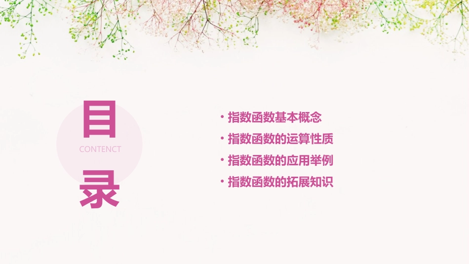 指数函数课件_第2页