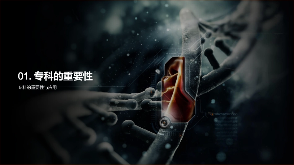 专科培训：引领未来-提升技能，推动职业发展_第3页