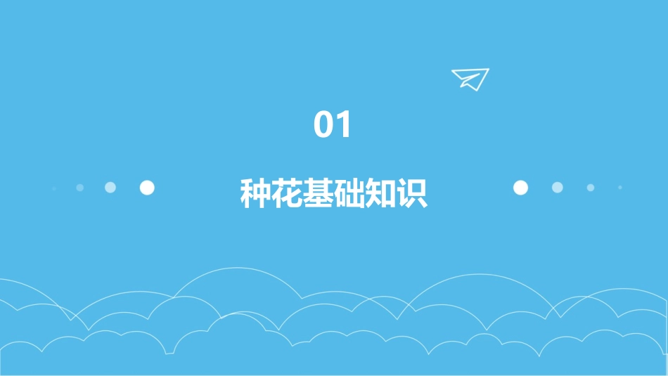 种花PPT课件教案图片x_第3页