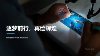 逐梦前行，再绘辉煌-财务数据分析与市场战略规划