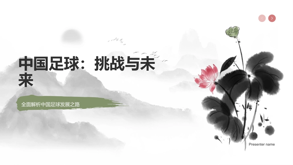 中国足球：挑战与未来-全面解析中国足球发展之路_第1页