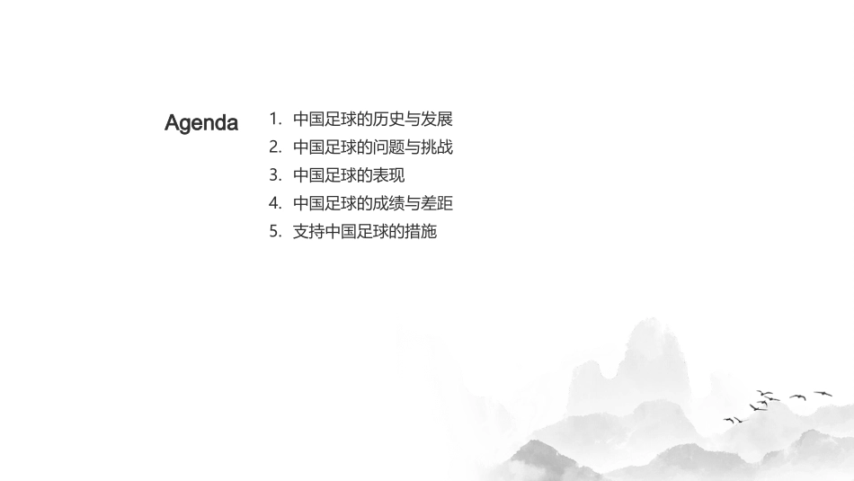 中国足球：挑战与未来-全面解析中国足球发展之路_第2页