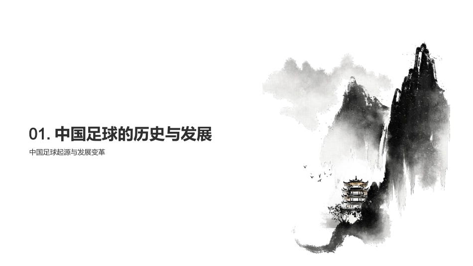 中国足球：挑战与未来-全面解析中国足球发展之路_第3页