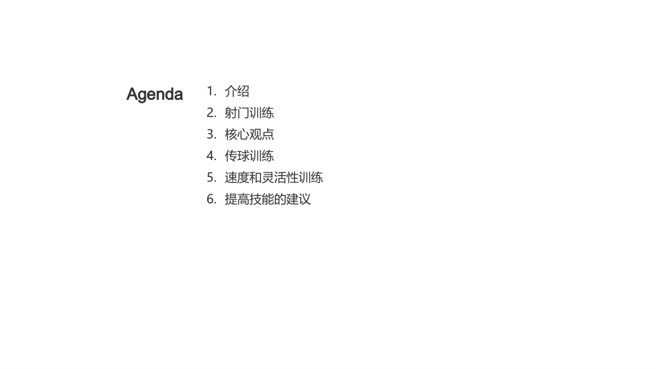 足球训练指南-足球教练_第2页