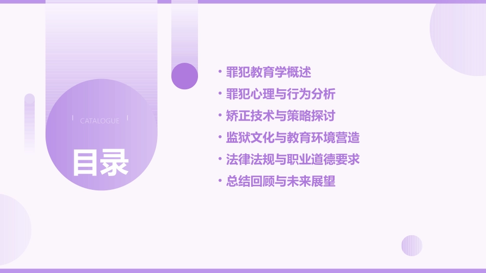 罪犯教育学PPT教案_第2页