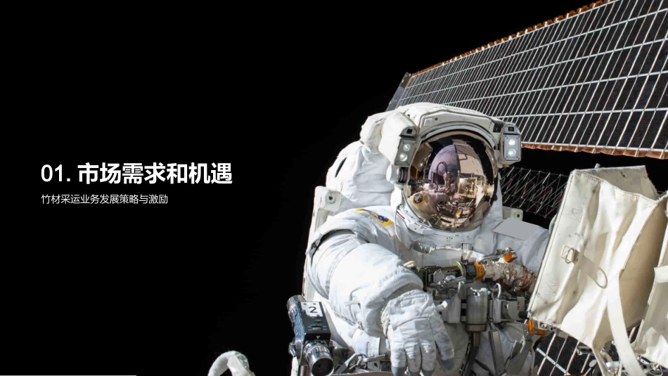 竹材采运：开启新篇章-塑造未来，探索无限可能_第3页
