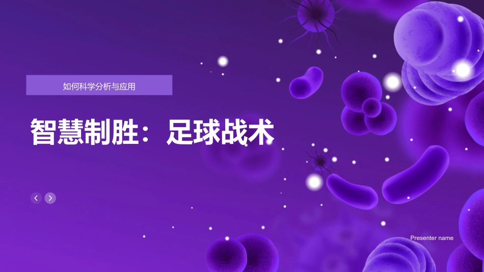 智慧制胜：足球战术-如何科学分析与应用_第1页