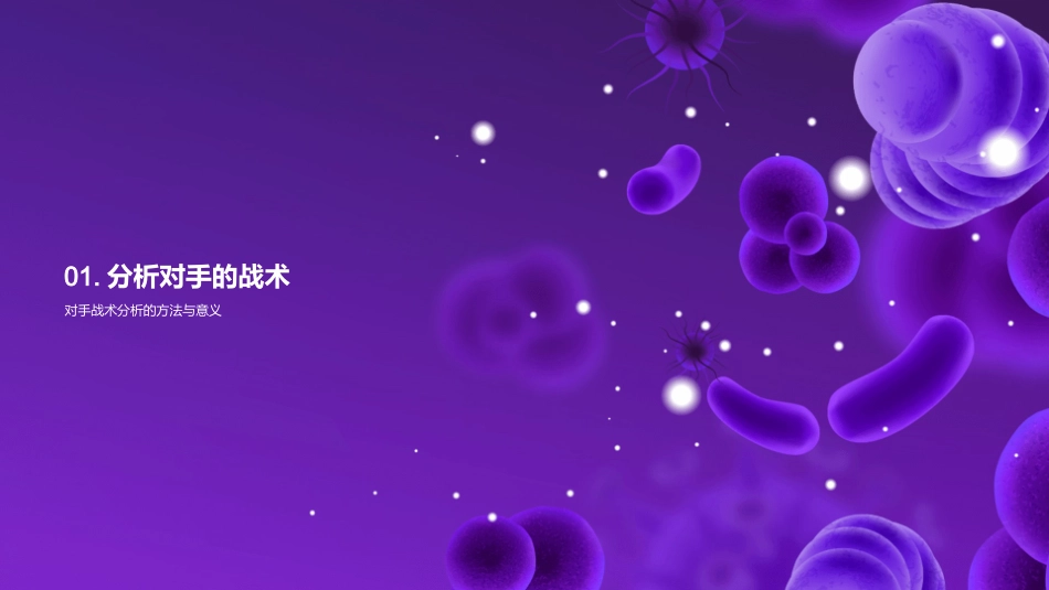 智慧制胜：足球战术-如何科学分析与应用_第3页