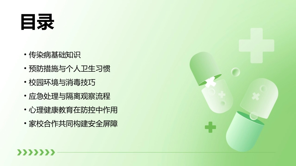 专业教案：2024年传染病防控知识讲解_第2页