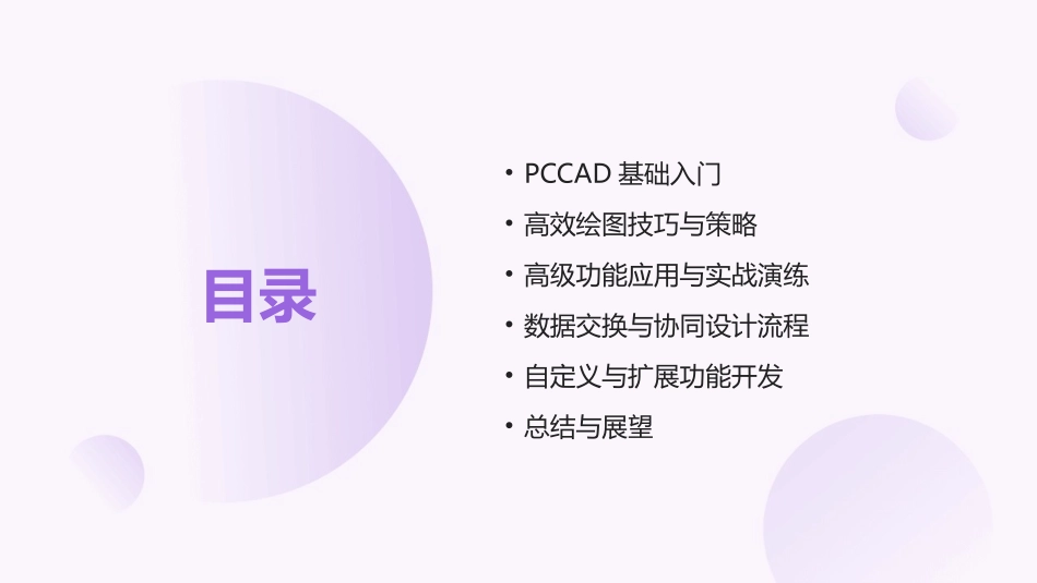 专业PCCAD培训教程——成为2024行业领军者_第2页