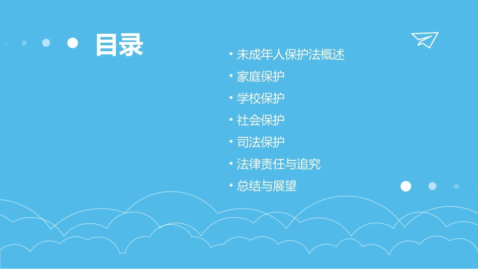 最新10套高质量未成年人保护法PPT课件_第2页