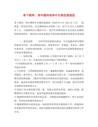 骨干教师、青年教师培养中长期发展规划 