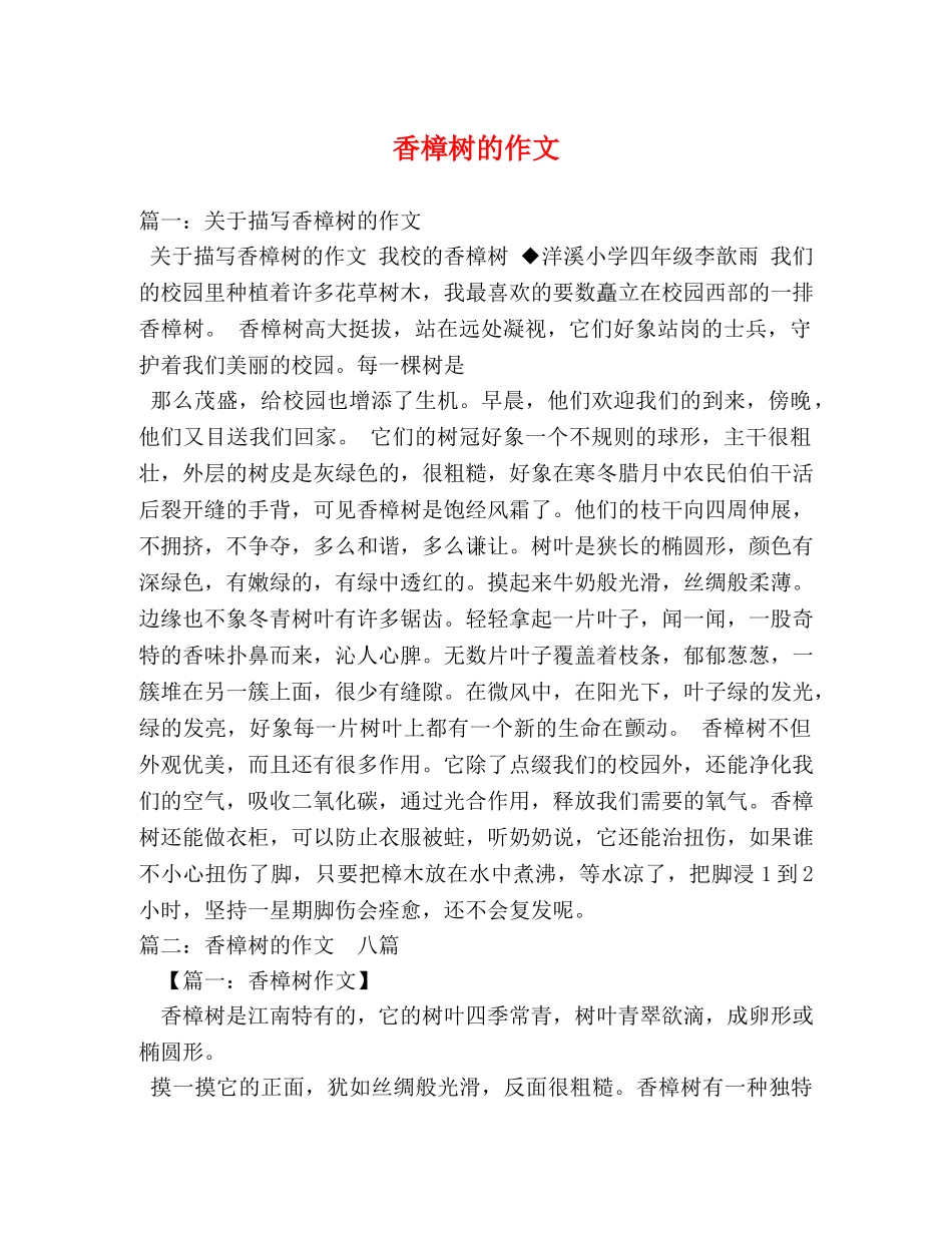 香樟树的作文 _第1页