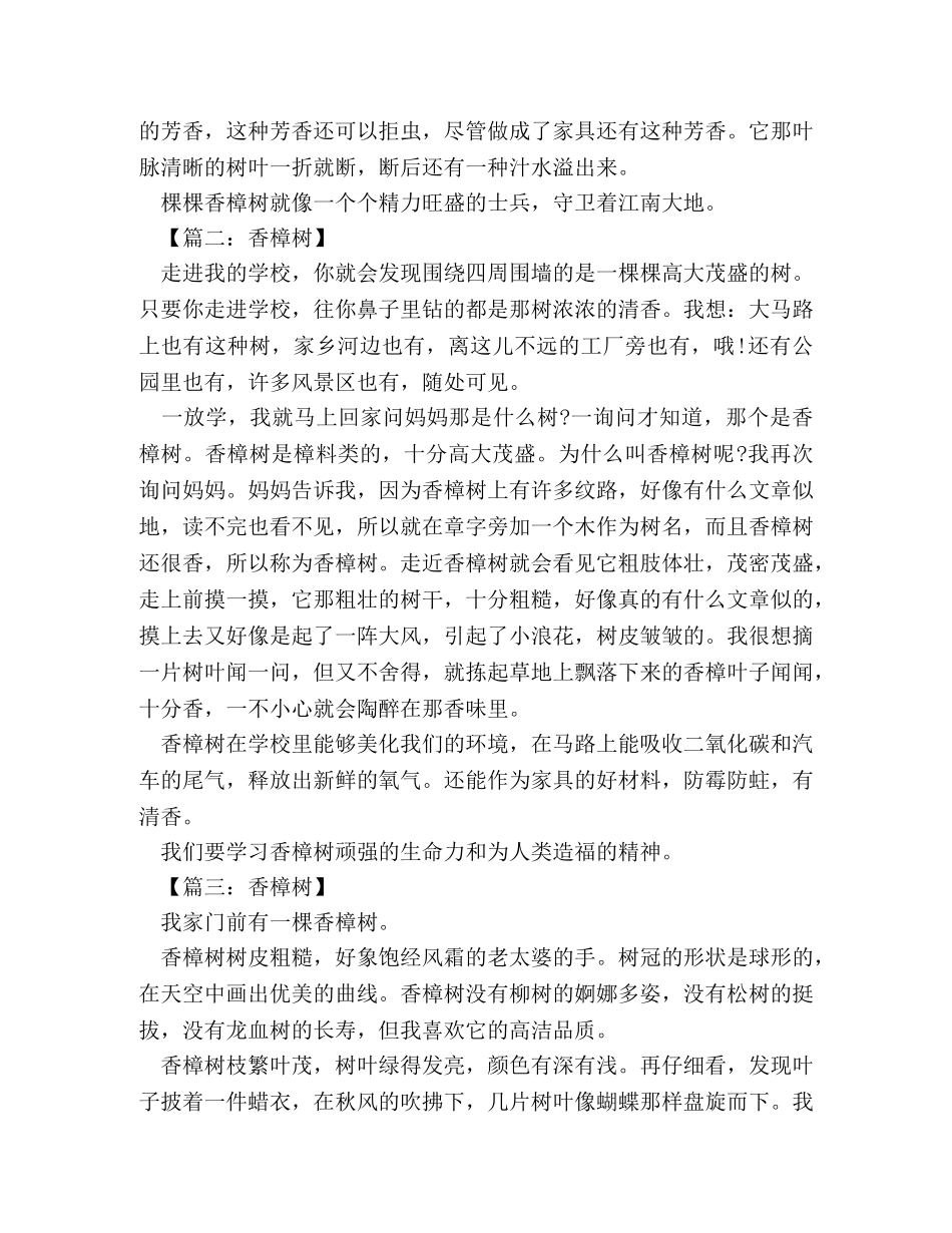 香樟树的作文 _第2页