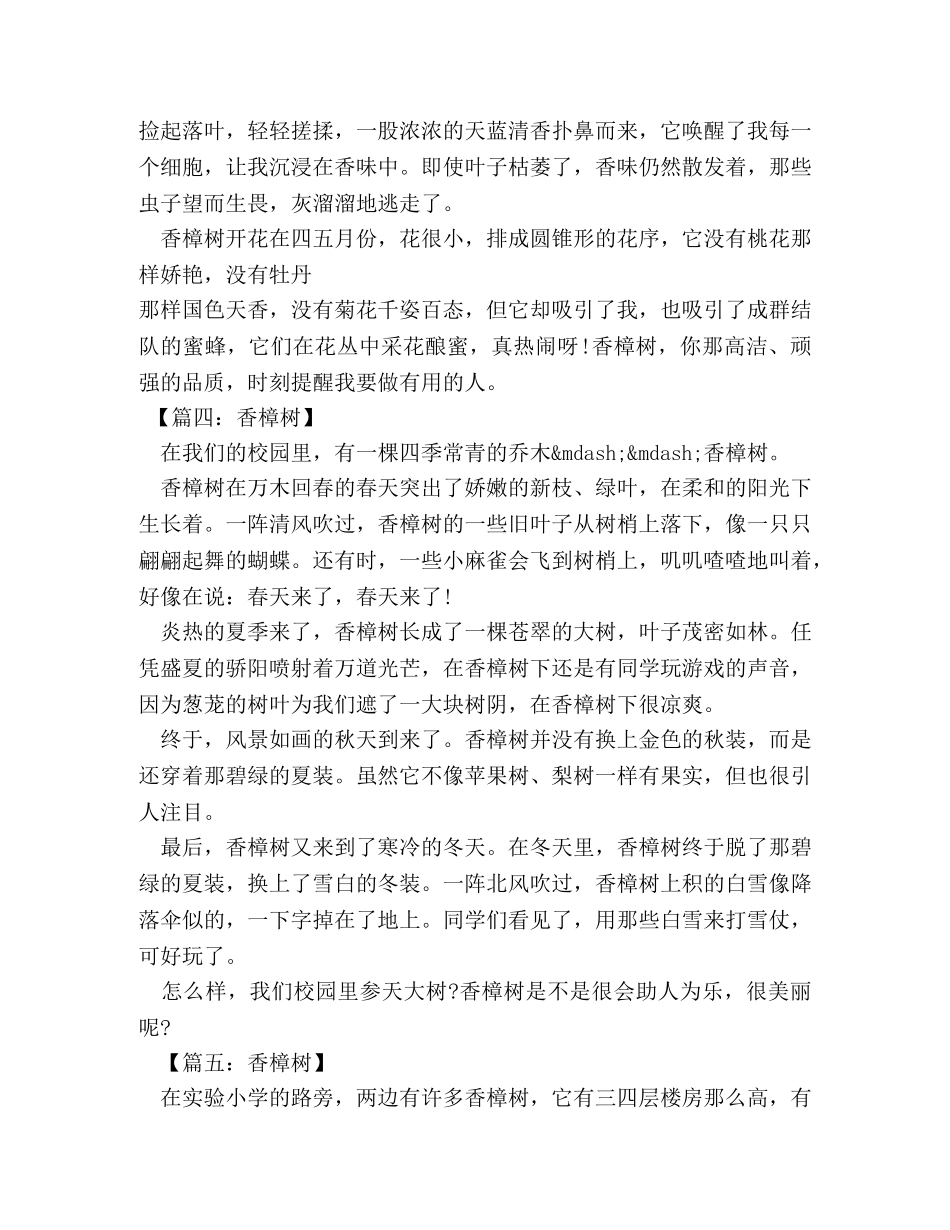 香樟树的作文 _第3页