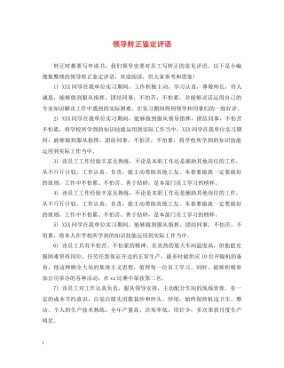 领导转正鉴定评语 