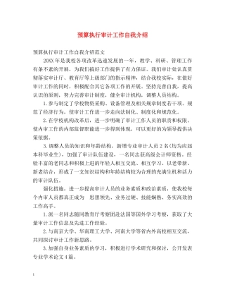 预算执行审计工作自我介绍 