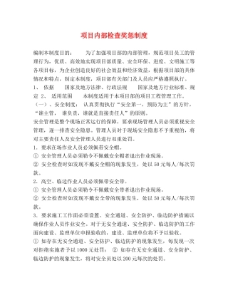 项目内部检查奖惩制度 
